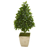 34” Sweet Bay Cone Topiary Artificial Tree in Country White Planter