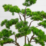 3.5' Artificial Bonsai Style Cedar Tree in Decorative White Planter