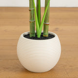 3.5' Artificial Monstera Tree in White Round Planter