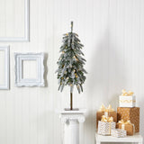 3.5’ Flocked Washington Alpine Christmas Tree with 50 White Warm LED lights and 168 Bendable Branches