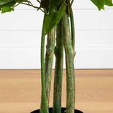 3.5' UV Resistant Artificial Ficus Tree (Indoor/Outdoor)