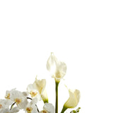 35” Phalaenopsis Orchid and Calla Lily Artificial Arrangement in Glass Vase