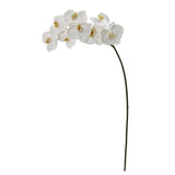 35” Phalaenopsis Orchid Artificial Flower (Set of 6)