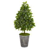 35” Sweet Bay Cone Topiary Artificial Tree in Tin Planter