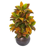 37” Croton Artificial Plant in Metal Bowl (Real Touch)