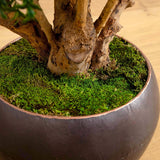 38” Boxwood Artificial Topiary Tree in Decorative Bowl (Indoor/Outdoor)
