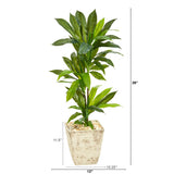 39” Dracaena Artificial Plant in Country White Planter (Real Touch)