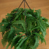 39” UV Resistant Artificial Mixed Ferns Plant in Hanging Ring (Indoor/Outdoor)