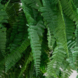 39” UV Resistant Artificial Mixed Ferns Plant in Hanging Ring (Indoor/Outdoor)