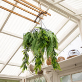 39” UV Resistant Artificial Mixed Ferns Plant in Hanging Ring (Indoor/Outdoor)