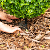 3' UV Resistant Artificial Boxwood Topiary with Integrated Ground Stake (Indoor/Outdoor)