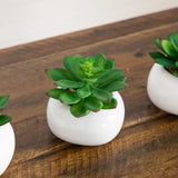 4" Artificial Mini Succulent in Ceramic White Planter -Set of 3