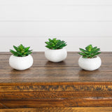 4" Artificial Mini Succulent in Ceramic White Planter -Set of 3