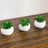 4" Artificial Mini Succulent in Ceramic White Planter -Set of 3