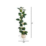 4’ Artificial Minimalist Magnolia Tree in Decorative Planter