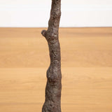 4' Autumn Rustic Maple Artificial Fall Tree