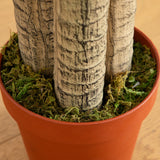 4' Corn Stalk Dracaena Silk Plant (Real Touch)