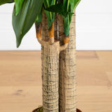 4' Corn Stalk Dracaena Silk Plant (Real Touch)
