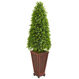 4’ Eucalyptus Cone Topiary Artificial Tree in Decorative Planter