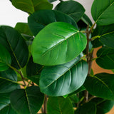4' Artificial Audrey Ficus Tree in Rustic Decorative Planter