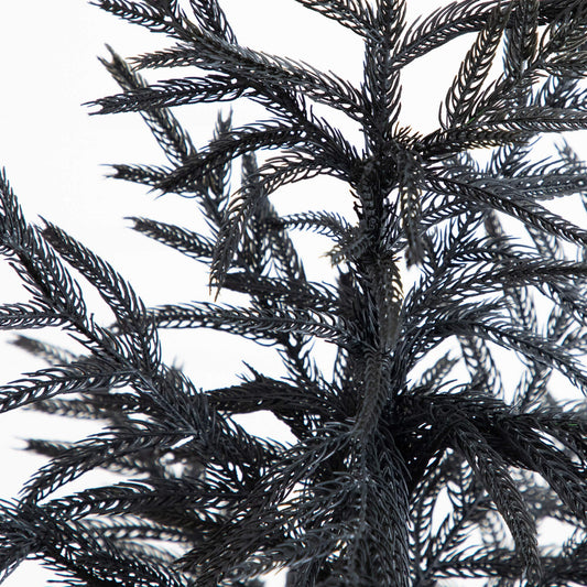 4' Artificial Halloween Real Touch Black Norfolk Pine Christmas Tree with Natural Look