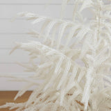 4' Artificial Real Touch White Norfolk Island Pine Christmas Tree with Natural Look