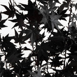4' Pre-Lit Artificial Halloween Black Maple Tree with 180 Orange & Purple LED Lights