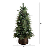 4' Pre-Lit Artificial Mixed Pine Snowed Christmas Tree with Pinecones in Decorative Planter with 60 Warm White LED Lights