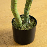 4' UV Resistant Artificial Bird Nest Fern Tree (Indoor/Outdoor)