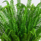 4' UV Resistant Artificial Real Touch Boston Fern Plant (Indoor/Outdoor)