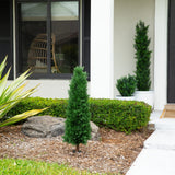 4-ft UV Resistant Artificial Cedar Plant with Integrated Ground Stake (Indoor/Outdoor) - Set of 2