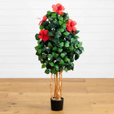 4’ Hibiscus Tree