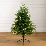 4' Pre-Lit Artificial Luxembourg Pine Christmas Tree with 120 Multicolored Traditional Bulb LED Lights