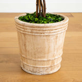 4’ Preserved Boxwood Double Ball Topiary Tree in Planter