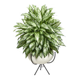4’ Silver Queen Artificial Plant in White Planter with Metal Stand