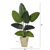 4’ Traveler's Palm Artificial Tree in Country White Planter