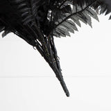 40" Artificial Halloween Black Boston Fern - Set of 2