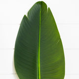 40" Artificial Traveler's Palm Stems - Set of 6