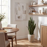 40” Artificial Sansevieria in Sand Colored Planter