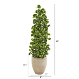 42” Variegated Holly Leaf Artificial Tree in Sand Colored Planter (Real Touch)