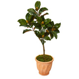 45” Magnolia Leaf Artificial Tree in Terra-cotta Planter