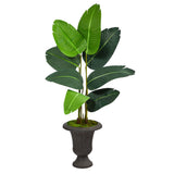 4.5’ Traveler's Palm Artificial Tree in Charcoal Urn