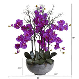 46" Giant Phalaeopsis w/Cement bowl"