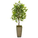46” Mini Ficus Artificial Tree in Green Planter