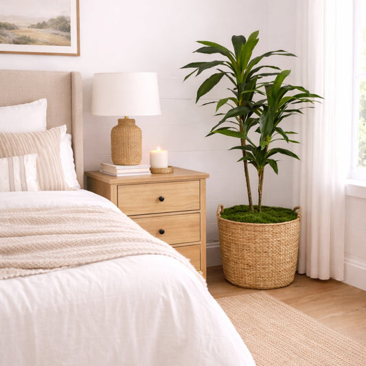 48" Dracaena Silk Plant (Real Touch)