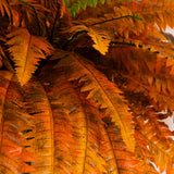 48" Autumn Artificial Fall Boston Fern - Set of 2