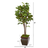 49” Fig Artificial Tree in Decorative Planter
