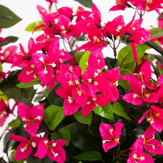 4' UV Resistant Artificial Spiral Bougainvillea Tree (Indoor/Outdoor)
