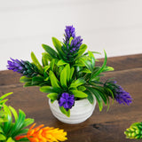 5” Artificial Mini Flowering Plant in White Decorative Oval Planter  - Set of 4
