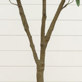5’ Artificial Olive Tree in White Decorative Planter